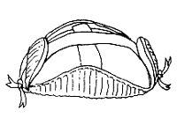 Williamsburg, VA Pudding Cap